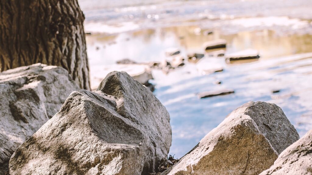 rock, river, nature-3755515.jpg